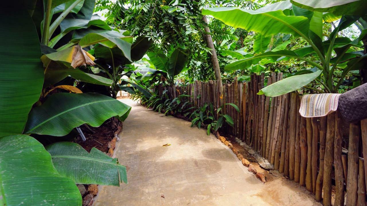 The Family Kingdom Resort ฟรีทาวน์ ภายนอก รูปภาพ